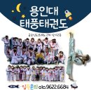 용인대 참사랑 태권도 이미지
