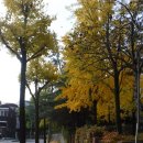 남원로527번길 이미지