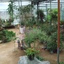 달창농장 이미지