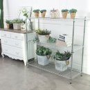 D.S 통상 이미지