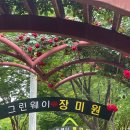 그린웨이 티스토리