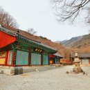 영주 비로사 석조아미타여래좌상 이미지