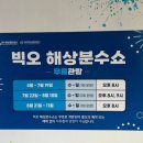 해상곡 | 여수 빅오 해상분수쇼 무료 관람｜베네치아호텔에서 본 빅오쇼와 현장 직관 후기