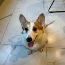 우승노래연습장 이미지