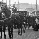 대한(아) 이미지