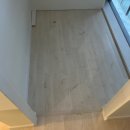 포레스트51