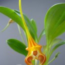 반포삼정공인중개사사무소 이미지