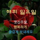 행복한 사랑 이미지