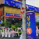 싱싱뽈락