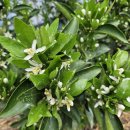 별이농장 이미지