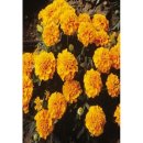 서광슈퍼 이미지