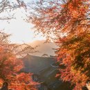 단풍스테이 이미지