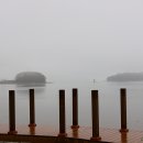 남산공원오토캠핑장 이미지