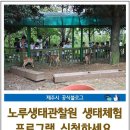 노루유치원 이미지