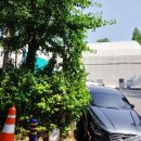 신정로(계남근린공원) 네이버블로그
