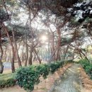 창원 덕천리 유적 이미지