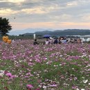 하양사진 이미지