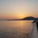 탑동 테마거리 이미지