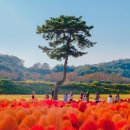 경주 가볼만한곳 베스트10 이미지