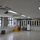 대전글꽃초등학교 이미지