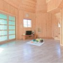 아리지 핀란드 이미지