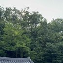 스며든채