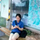 죠이랜드 이미지