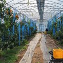 우리팜 농장 이미지