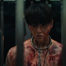 편상욱 카카오 검색결과