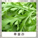 씨앗 - 남양주시 덕소로116번길 11 | 씨앗