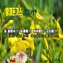 밋델리