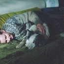 Fall in dog 이미지