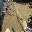 낙동강관리본부 화명생태공원 4 이미지