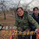 1월24일 아빠하고 나하고 8회 예고편 + 미리보기 이미지