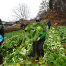 뽑기쉼터 이미지