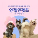 펫스토랑 | 엔젤인펫츠 펫스토랑 (애견동반)