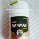(주)알피코프 | 복합 우루사 20일 복용 후기