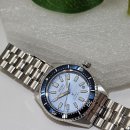 양지-3145 이미지