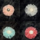 빗살 | 강아지 헤어핀 안 떨어지는 강아지 핀 찾는다면? 루삔 빗살핀 리얼 후기