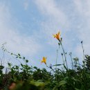 허수아비 이미지