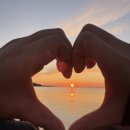 비타민재가노인복지센터 이미지