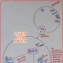 마인더맵