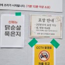 카이브부산송정 | 부산 송정 해수욕장 한식 맛집 추천 엄마손대구탕에서 고등어묵은지조림 먹었어요