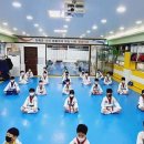 동탄 한울태권도장 이미지