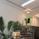 까치상회 이미지