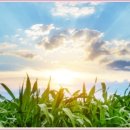 도봉-도봉-2540 이미지