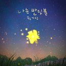 반딧불1 이미지