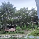 하동군청 뒷편 | 하동 구재봉 자연휴양림 트리하우스