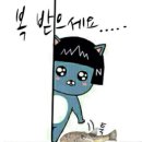 홀리몰리