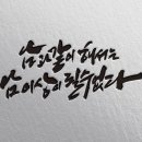 선인디자인 이미지